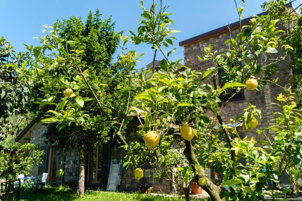 Vila Domus Aqua Viva Massa Lubrense Exteriér fotografie